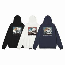 Picture of The North Face Hoodies _SKUTheNorthFaceM-XXL66838511830